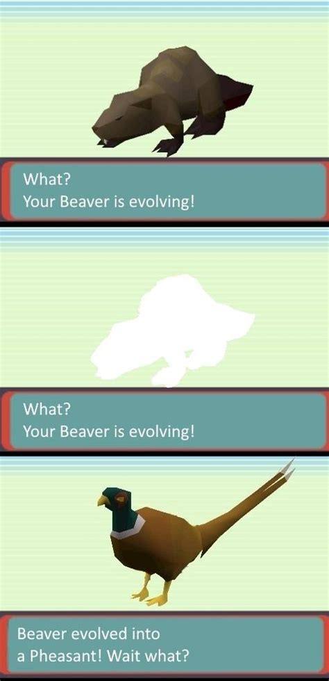 What using the Golden Pheasant Egg on your Beaver feels like.